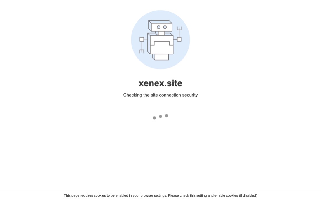Сайт обменника Xenex